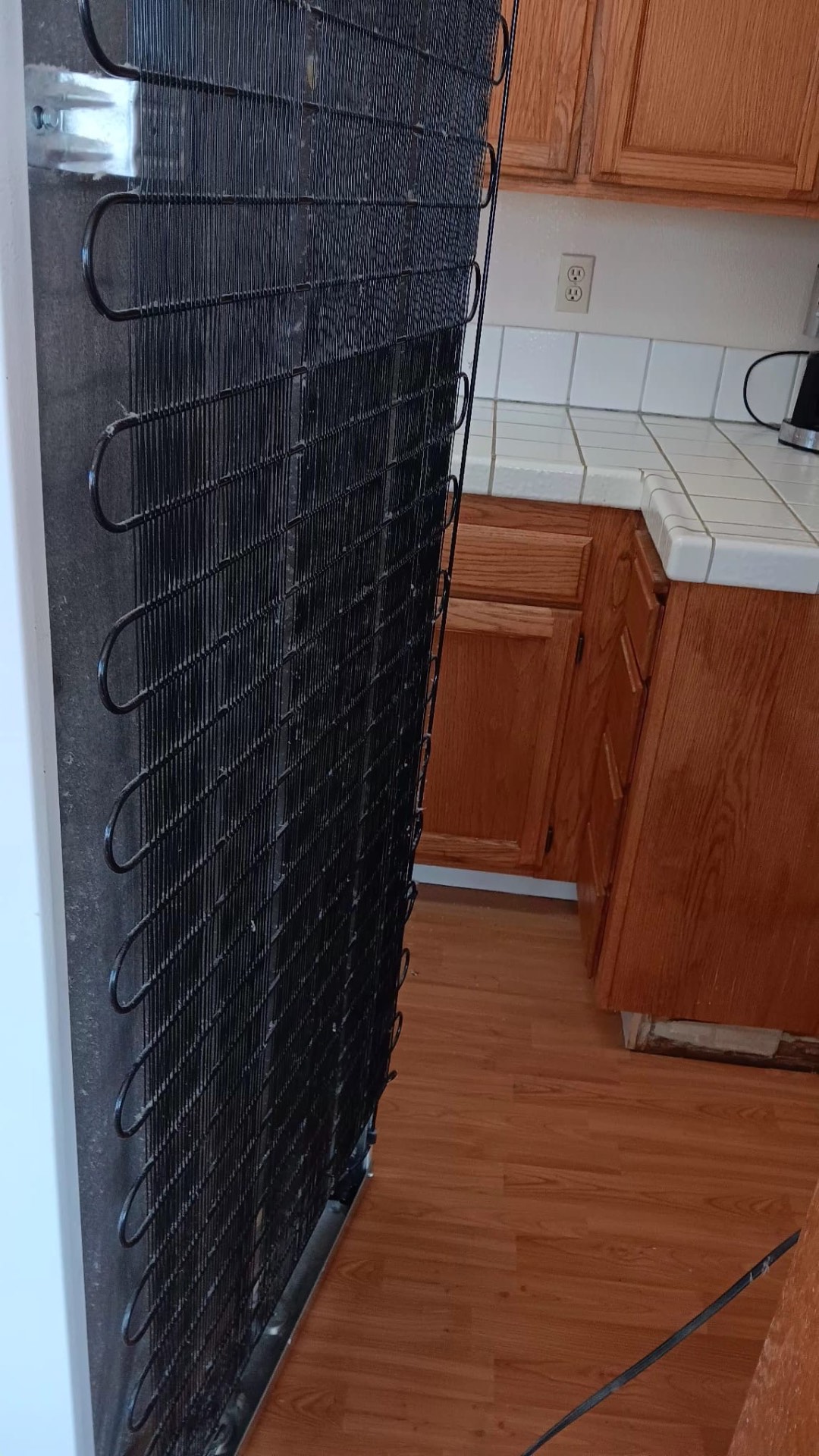 Refrigerator Coils — Deep-Clean Detail